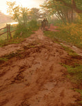 Coming Down the Road